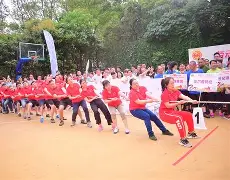 关于奥地利队坚持不懈期望在接下来的比赛中重塑形象的信息 关于奥地利队坚持不懈期望在接下来的比赛中重塑形象的信息