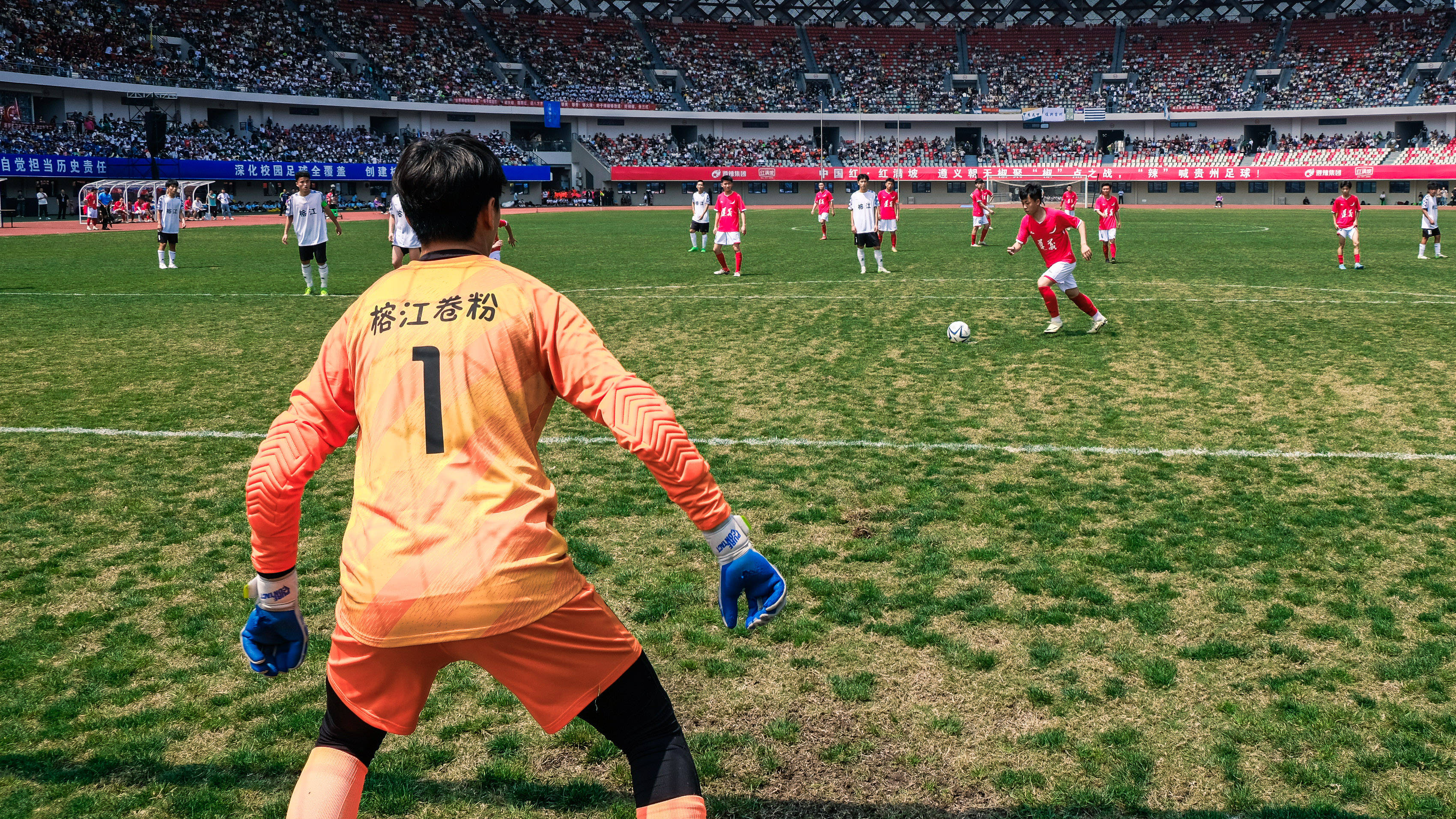 球场上精彩绝伦，吸引大批观众关注的简单介绍