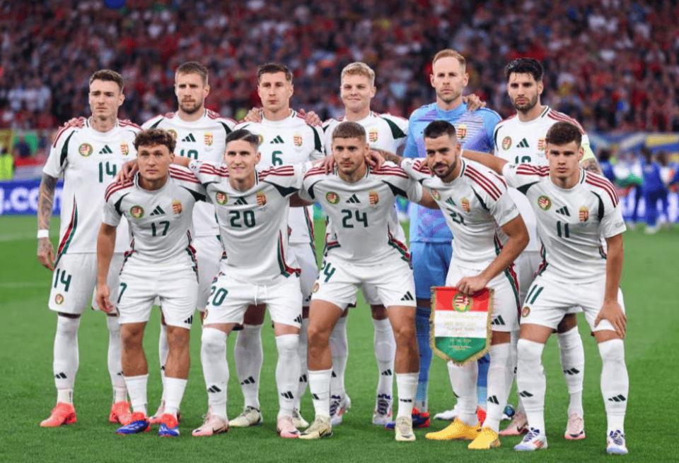 关于匈牙利主场逼平波兰,出线形势仍存希望的信息 关于匈牙利主场逼平波兰,出线形势仍存希望的信息