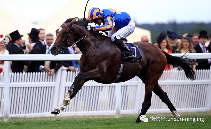 迪拜聚焦欧洲赛场取得成功