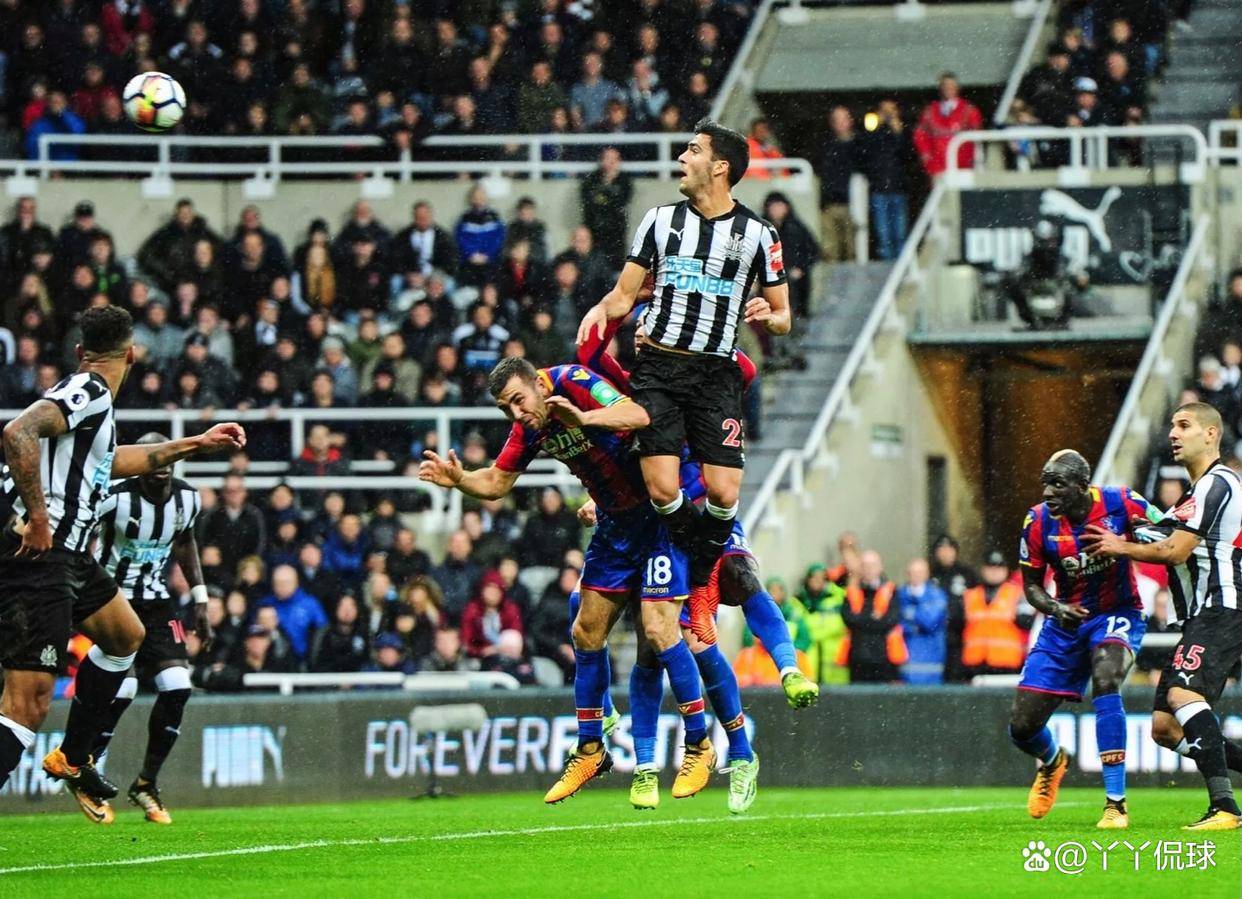 纽卡斯尔联主场击败对手，取得胜利