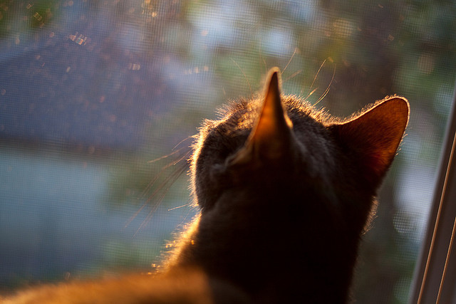 坎特，大场面先生的典范与英格兰稳稳拿下冰岛的启示