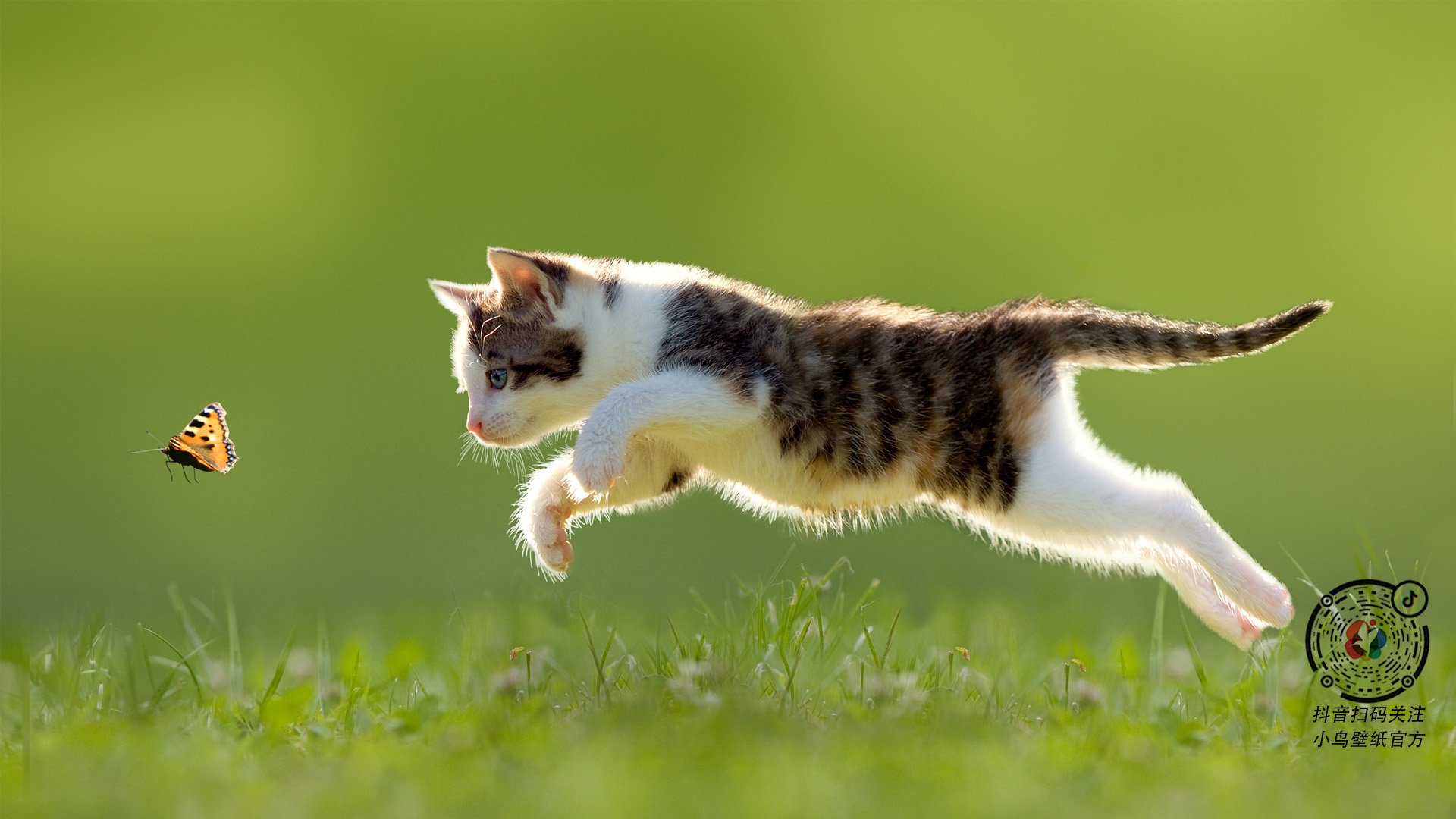 锁链与投枪，杜兰特如何以防守之盾奠定勇士胜局