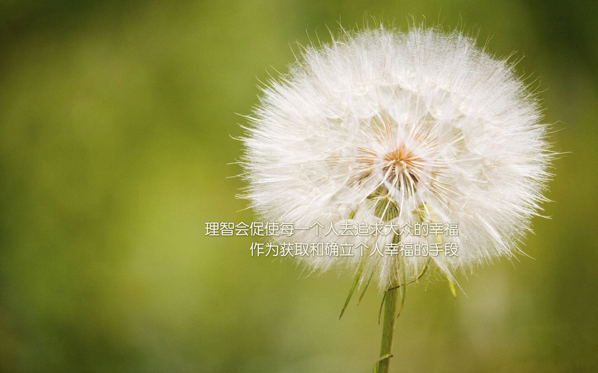 切特·霍姆格伦，当沉默的骨架撑起公牛的天空