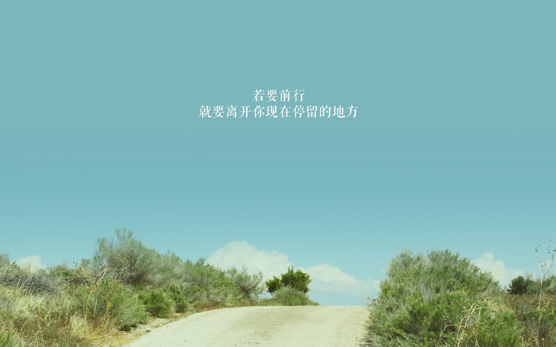 极速与突破，F1争冠狂飙与凯尔特人森林狼突围战的竞技交响