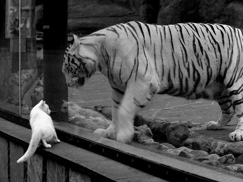 霍勒迪末节15分导演逆转，热火主场灼伤骑士