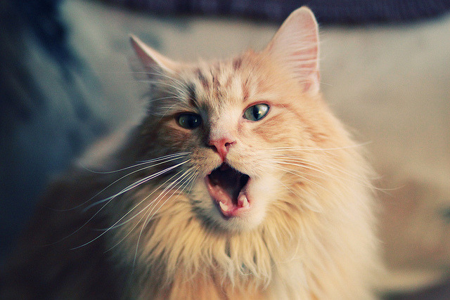 静默七十六分钟后，劳塔罗一脚踢碎命运的咒语