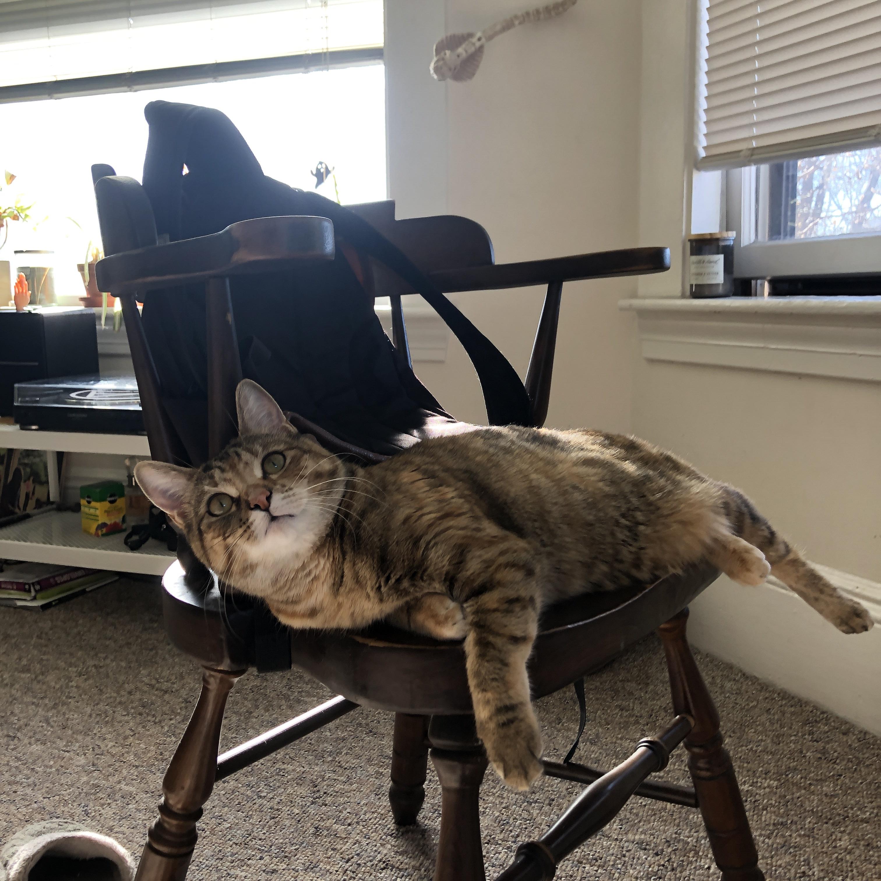 冰火淬炼，西亚卡姆关键时刻一剑封喉，勇士鏖战憾负鹈鹕