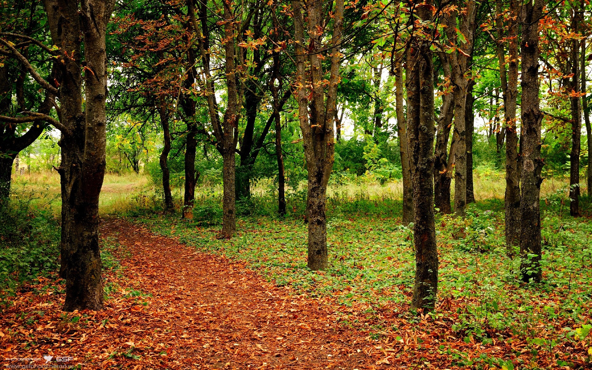法国轻取比利亚雷亚尔，戈麦斯荣膺关键先生