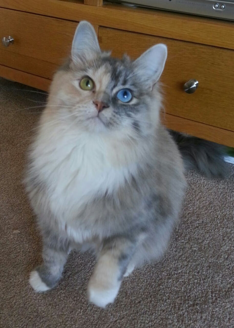 铁闸镇山河！阿劳霍欧冠封神一战 巴萨倚仗南美基石稳稳拿下莱比锡