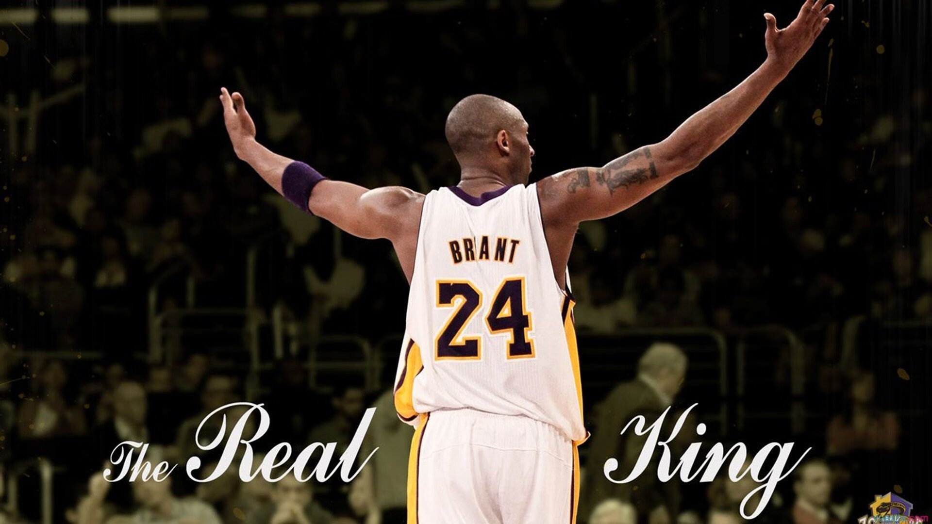 街道赛的轰鸣与篮下的统治，武切维奇数据之夜映照F1激情